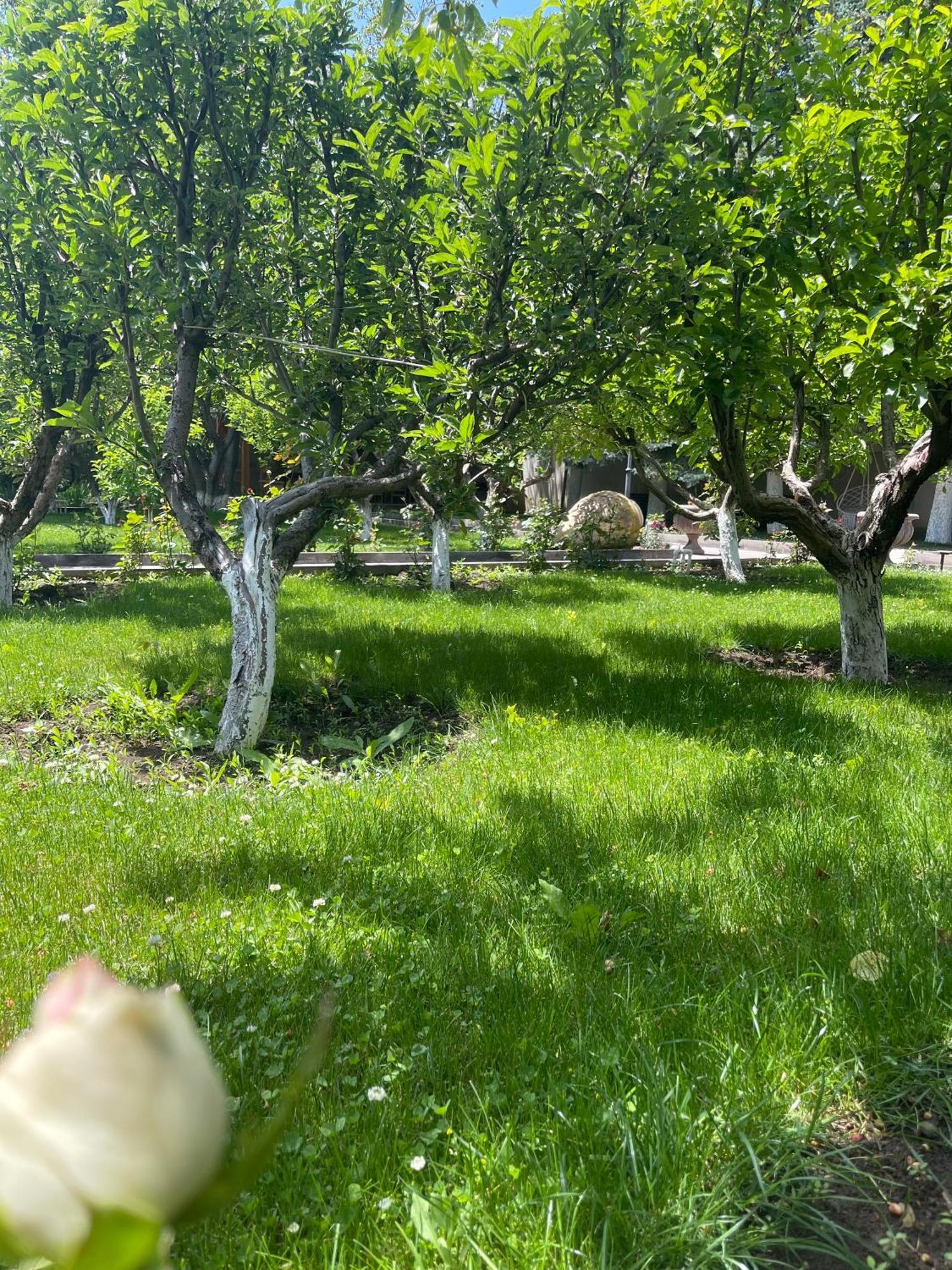 In Gyumri Hotel Bagian luar foto